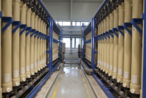 北京亦莊 綠色工廠數(shù)量領(lǐng)跑全市，技術(shù)開發(fā)驅(qū)動(dòng)產(chǎn)業(yè)升級(jí)